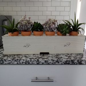 Magnolia 6 hole Sugar mold